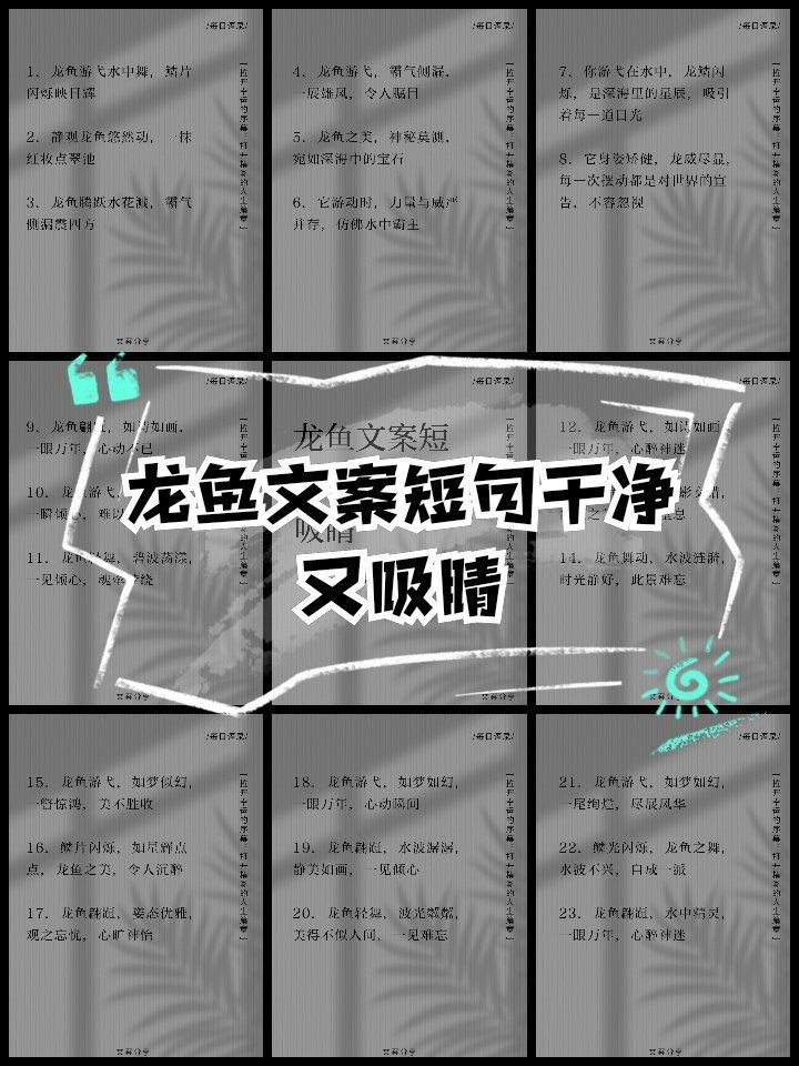 龍魚圖片配什么文字好【水中貴族——龍魚】