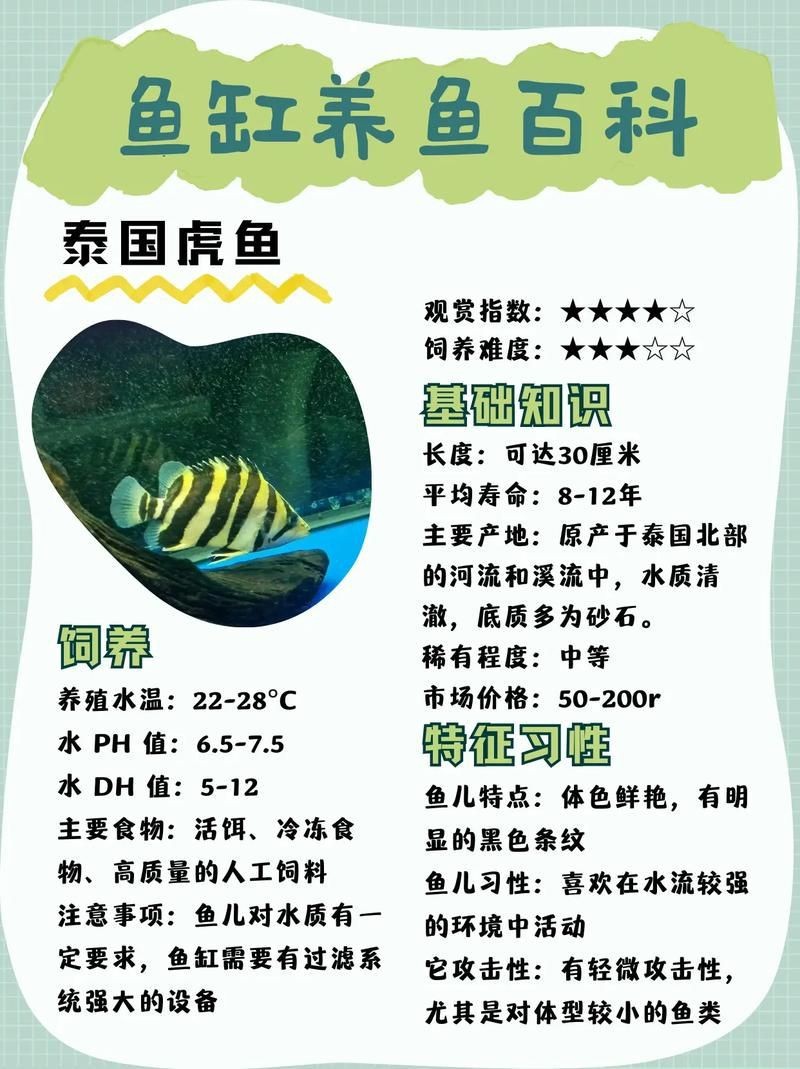 虎魚品種介紹圖【虎魚品種介紹】
