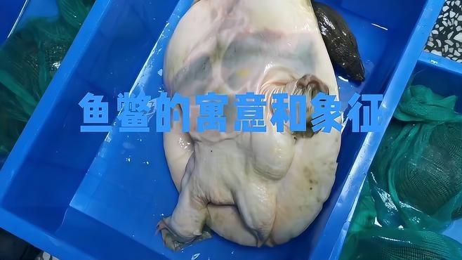 龍騰魚鱉【“龍騰魚鱉”一詞出自唐代詩人元稹的《望云騅馬歌》】