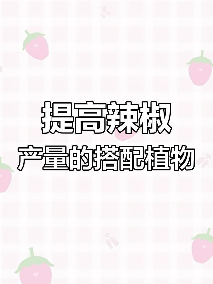 辣椒和誰種在一起好【辣椒與什么種在一起好】
