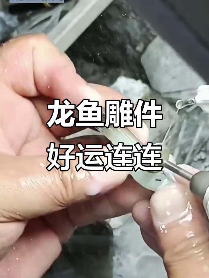龍魚木雕的收藏價值如何？【龍魚木雕收藏價值】