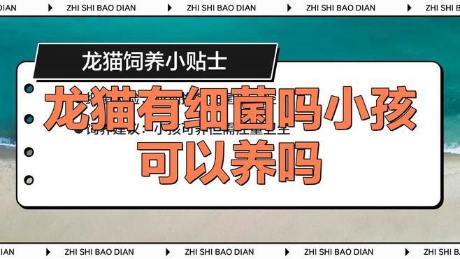 如何降低龍貓攜帶細菌的風險？【龍貓常見疾病十項守則教你保護萌寵健康龍貓常見疾病】