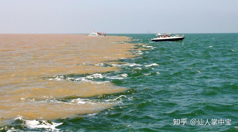 淡水魚到了海里會死嗎【淡水魚到了海里會死嗎？】
