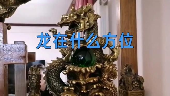 白子招財(cái)龍的最佳擺放位置【夢(mèng)為魚(yú)擺放龍的最佳三個(gè)位置文化縱覽白子招財(cái)龍的擺放位置】