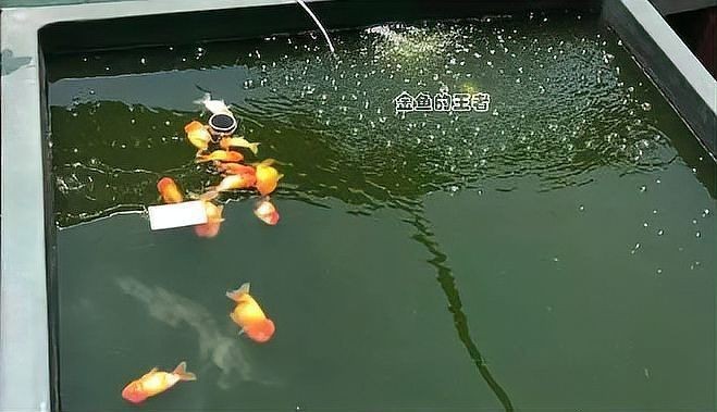 鄭州土壤檢測機構哪家專業一些，鄭州土壤檢測機構哪一家專業一些