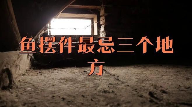 金龍魚擺件擺放有哪些禁忌【金龍魚擺件最忌三種東西饞時飯搭子金龍魚擺件最忌三種人不宜擺】