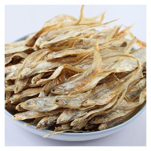 鳳尾魚的圖片【《鳳尾魚：靈動水世界的璀璨精靈》】