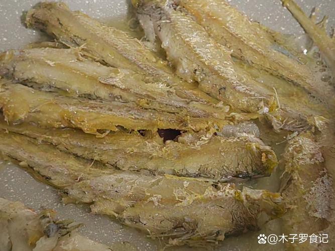 鳳尾魚的圖片【《鳳尾魚：靈動水世界的璀璨精靈》】
