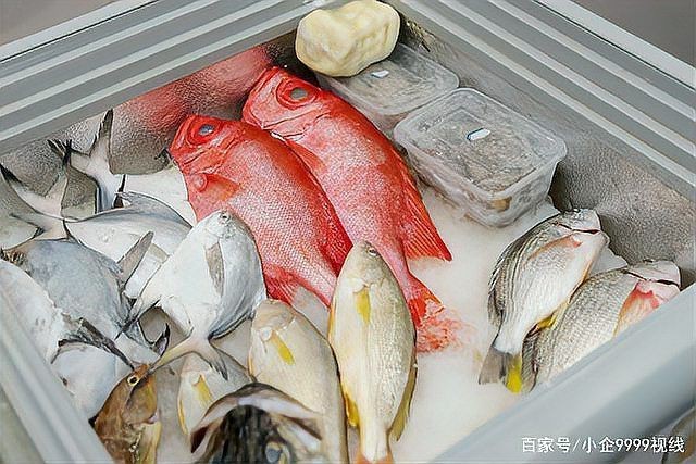 紅色的大眼魚叫什么【紅色的大眼睛海魚】
