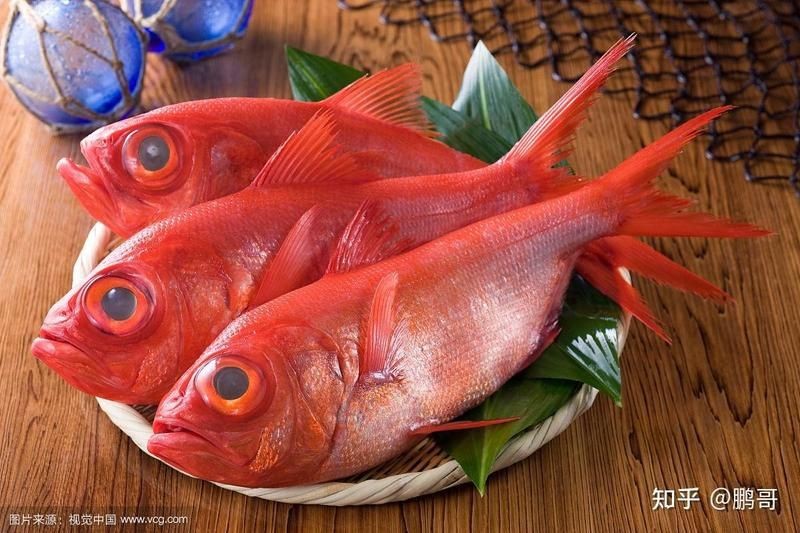 紅色的大眼魚叫什么【紅色的大眼睛海魚】