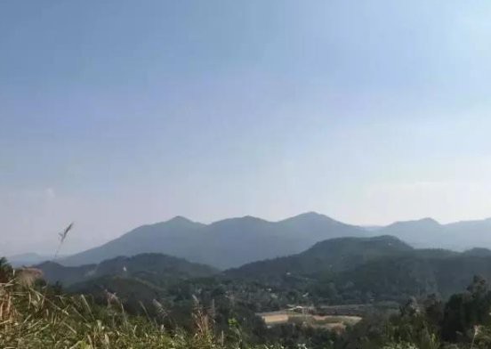 龍形地風水特征有哪三個【龍形地風水三大特征】