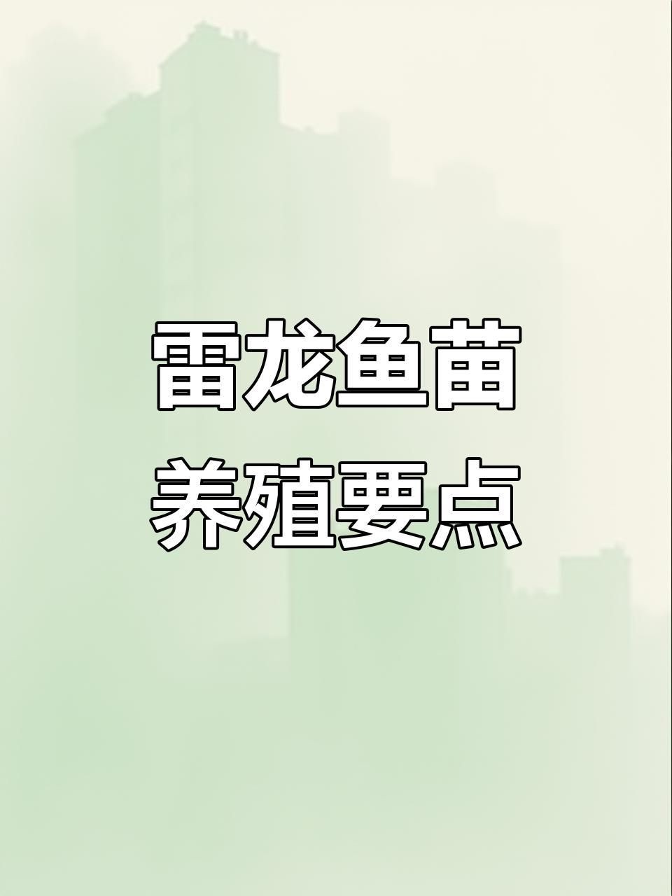 龍魚幼苗 1到3厘米【《龍魚幼苗（1-3厘米）養(yǎng)護(hù)要點(diǎn)》】