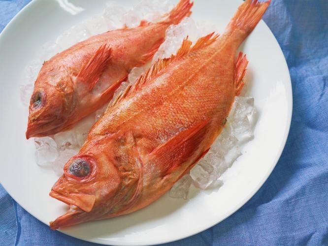 紅魚圖片大全大圖【紅魚圖片大全】 紅魚圖片大全大圖【紅魚圖片大全】 龍魚論壇 第8張