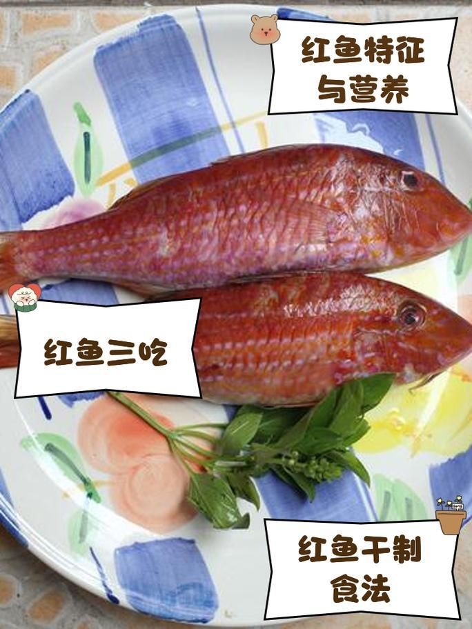 紅魚圖片大全大圖【紅魚圖片大全】 紅魚圖片大全大圖【紅魚圖片大全】 龍魚論壇 第18張