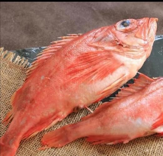紅魚圖片大全大圖【紅魚圖片大全】 紅魚圖片大全大圖【紅魚圖片大全】 龍魚論壇 第25張