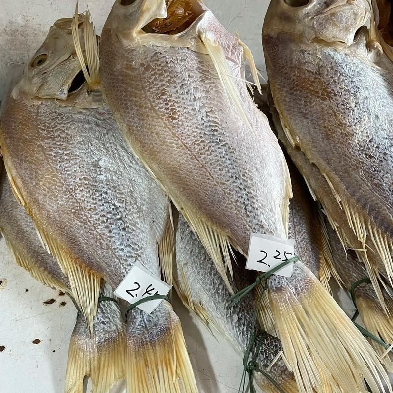紅魚圖片大全大圖【紅魚圖片大全】 紅魚圖片大全大圖【紅魚圖片大全】 龍魚論壇 第24張