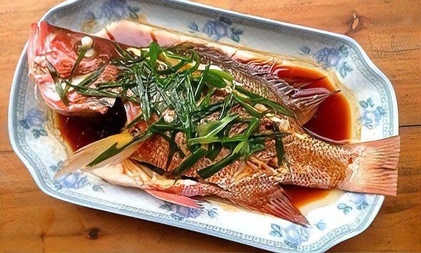 紅魚圖片大全大圖【紅魚圖片大全】 紅魚圖片大全大圖【紅魚圖片大全】 龍魚論壇 第32張
