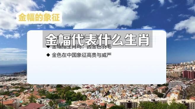 金幅是什么生肖【金幅代表什么生肖】