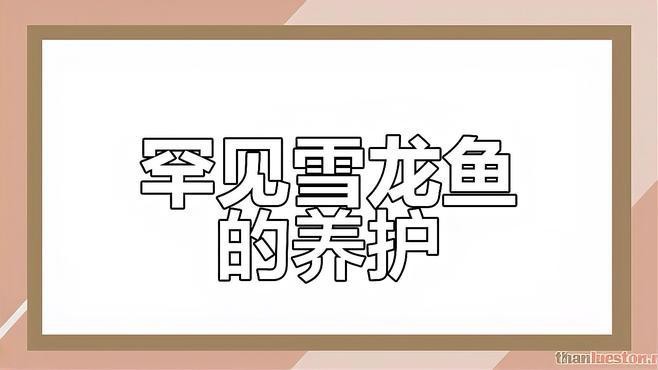 給我一些購買雪龍魚的注意事項【aa李哥，雪龍銀龍玩把戲,別被商家忽悠啦悠噠噠的漫生活】