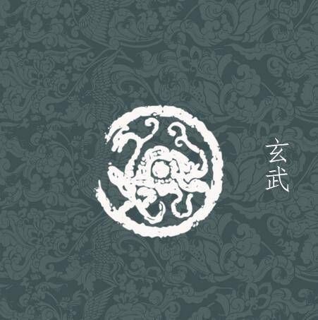 龍龜辟邪最厲害三個地方【龍龜在風水中的辟邪功效與擺放禁忌詳解】