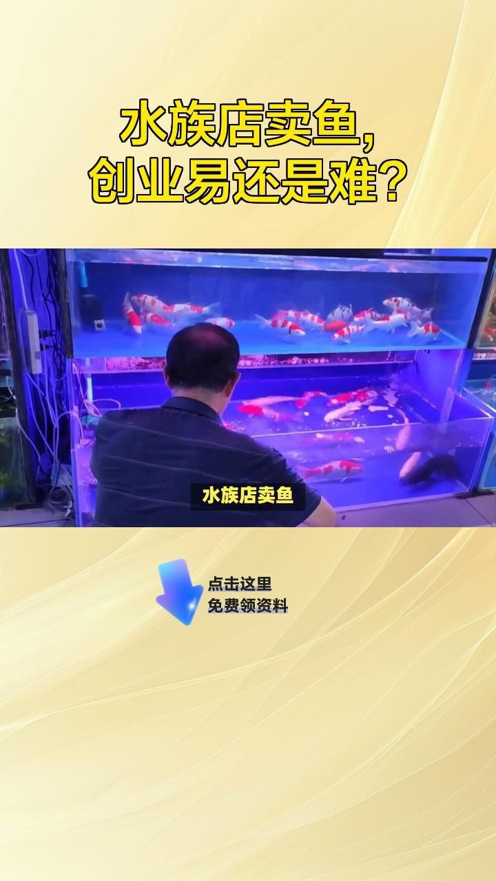 開一個水族館有前景嗎【嗶哩嗶哩嗶哩嗶哩嗶哩嗶哩嗶哩嗶哩嗶哩嗶哩嗶哩嗶哩】