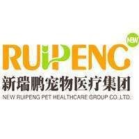 龍貓會(huì)有先天性疾病嗎【龍貓是否會(huì)有先天性疾病】 龍貓會(huì)有先天性疾病嗎【龍貓是否會(huì)有先天性疾病】 龍魚(yú)百科 第13張