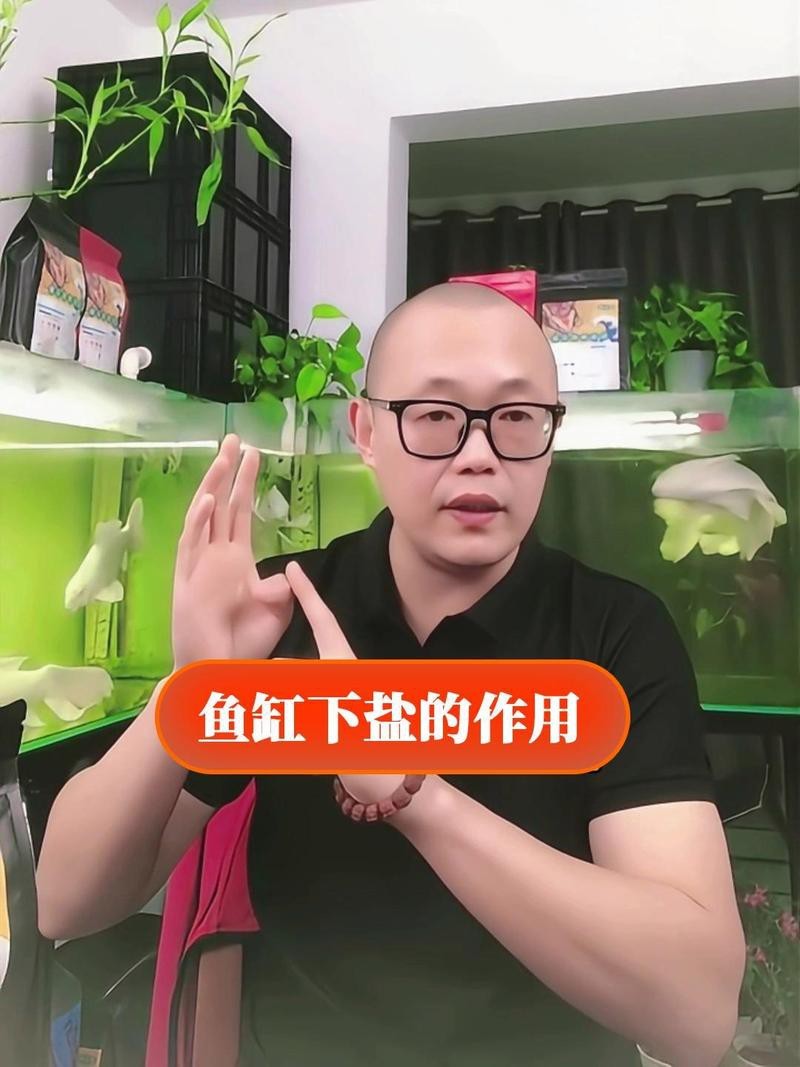 水族專用鹽有哪幾種怎么用【水族專用鹽的使用方法】