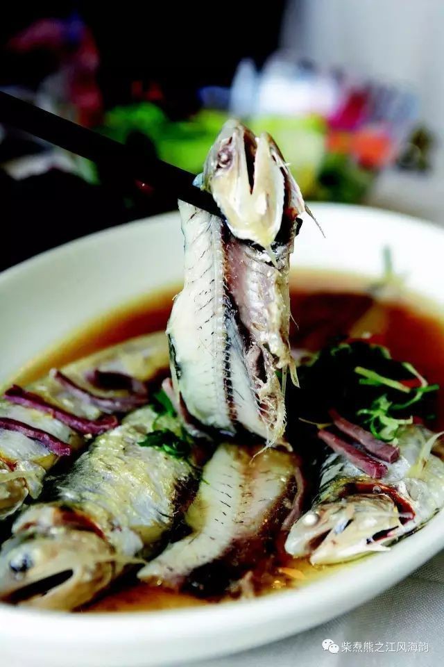 跟刀魚長得像的那種魚【刀魚的生態特征與洄游習性】 龍魚論壇 第4張 跟刀魚長得像的那種魚【刀魚的生態特征與洄游習性】 跟刀魚長得像的那種魚【刀魚的生態特征與洄游習性】 龍魚論壇 第4張