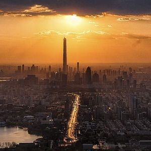 虎三紋帶不能隨便戴【屬虎佩戴禁忌與開運指南】
