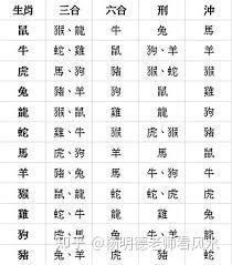 虎三紋帶不能隨便戴【屬虎佩戴禁忌與開運(yùn)指南】 虎三紋帶不能隨便戴【屬虎佩戴禁忌與開運(yùn)指南】 龍魚論壇 第12張