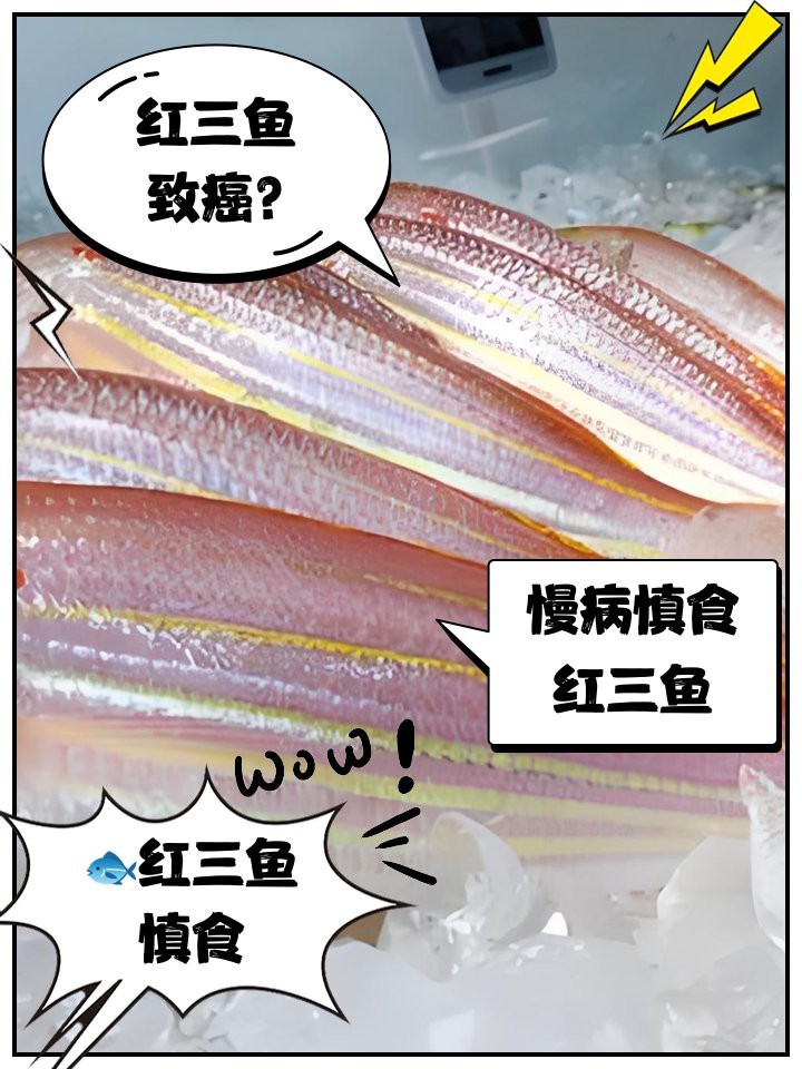 三刀紅魚的毒性有多強【\