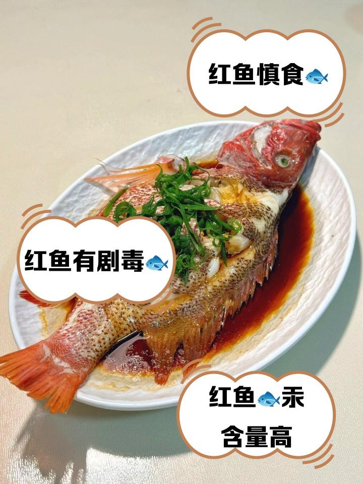 三刀紅魚的毒性有多強【\