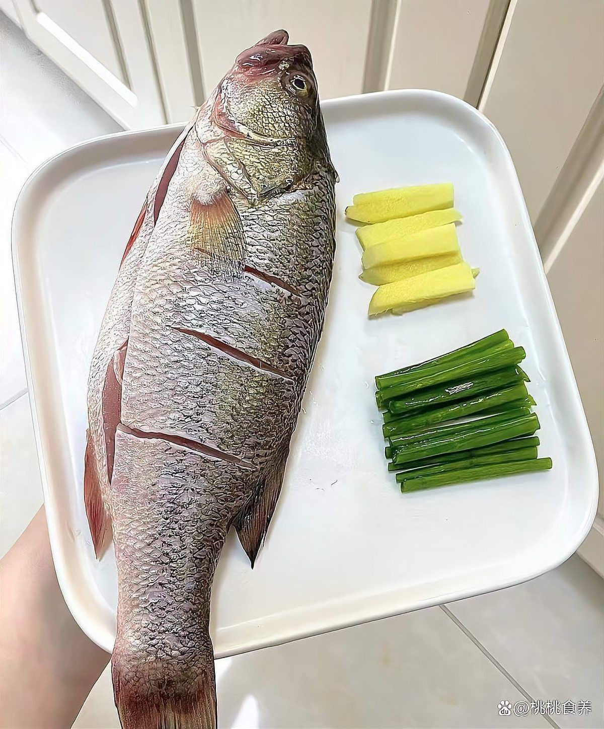 四大名魚【香港四大名魚大揭秘】