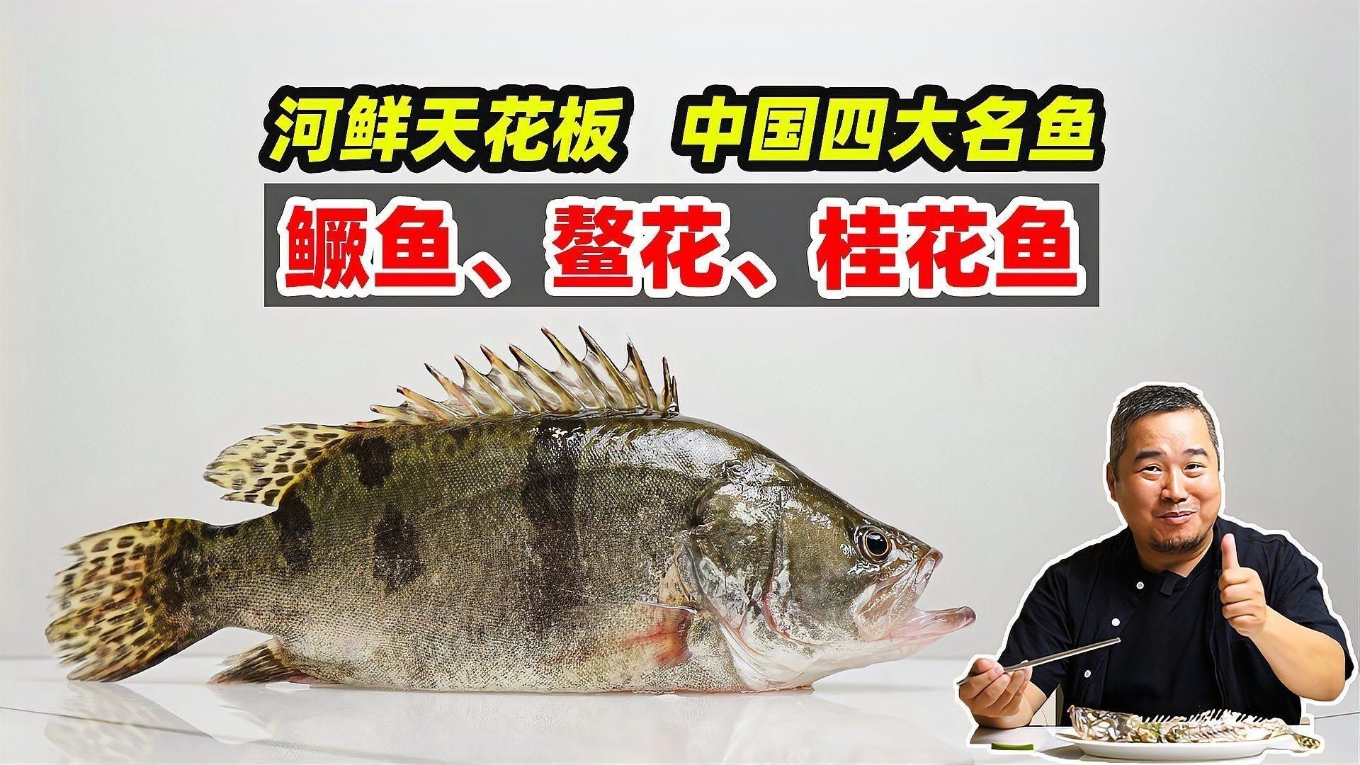 四大名魚【香港四大名魚大揭秘】