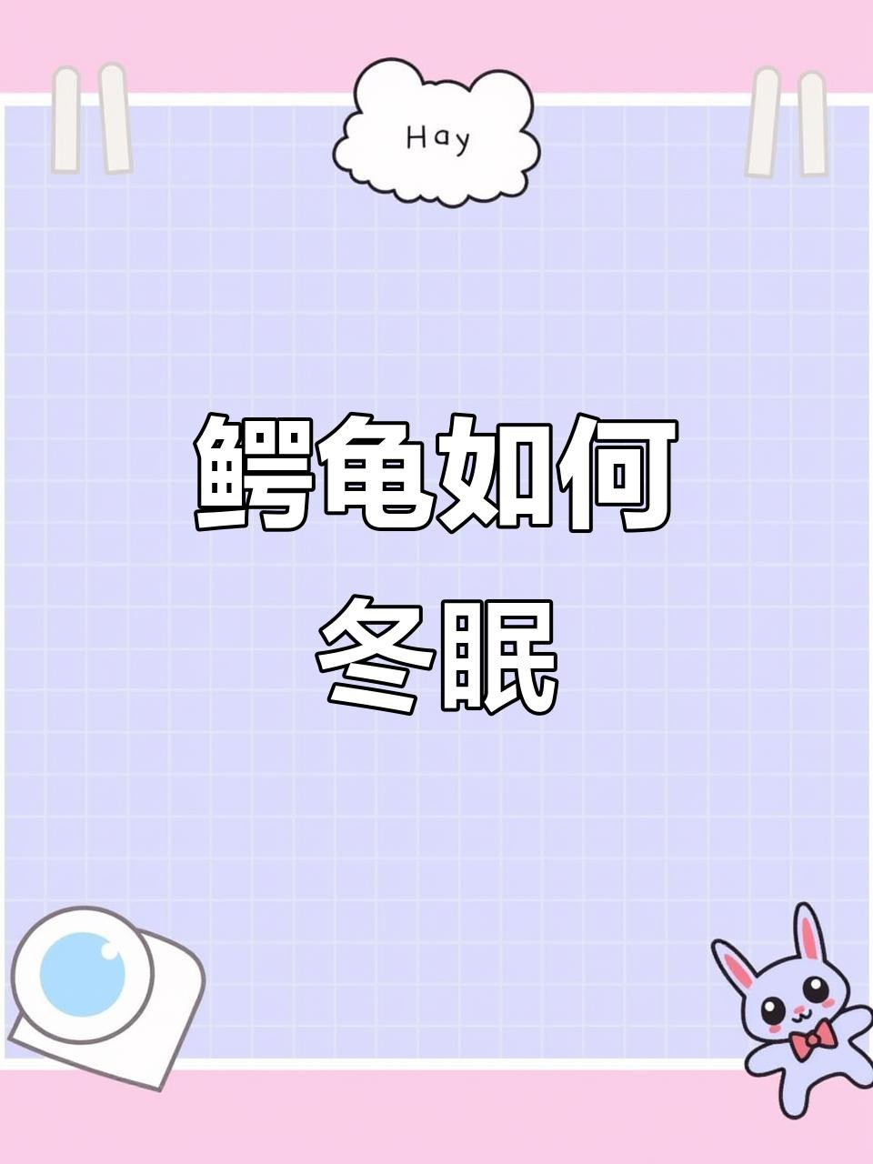 鱷龜過冬最佳方法【鱷龜怎么過冬】 鱷龜過冬最佳方法【鱷龜怎么過冬】 龍魚論壇 第7張