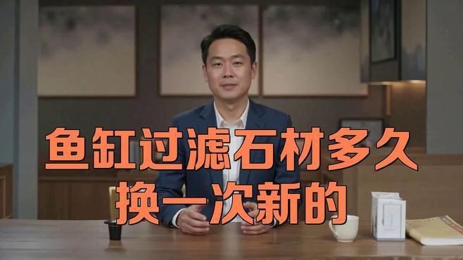 觀賞魚缸濾材更換周期