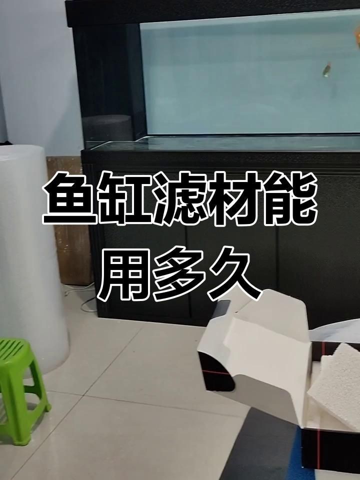 觀賞魚缸濾材更換周期