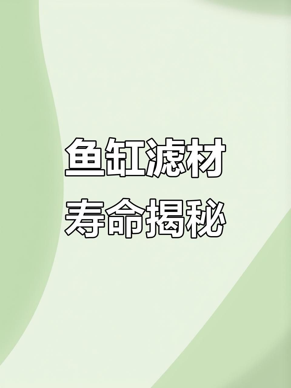 觀賞魚缸濾材更換周期