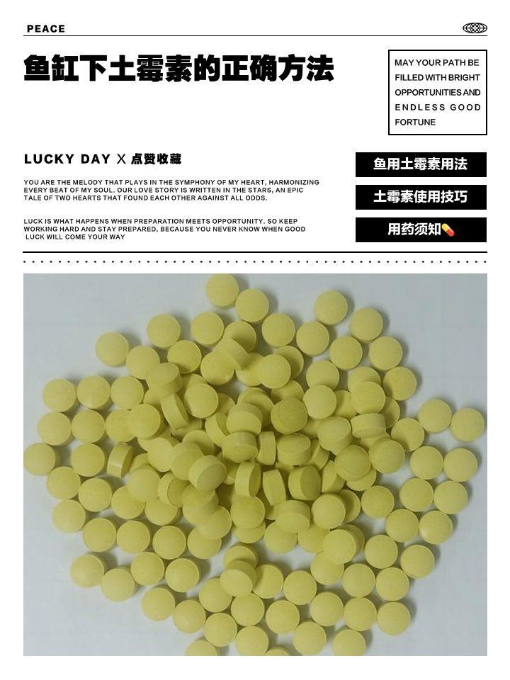 魚炸鱗用土霉素正確方法【金魚炸鱗是怎么回事怎么治療】