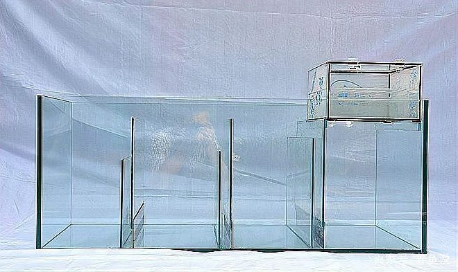 底濾魚缸怎么吸走糞便【底濾魚缸如何吸走糞便】