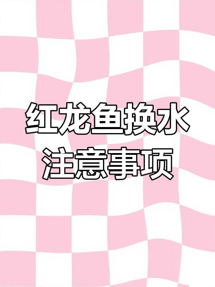 紅龍魚發(fā)色最佳水質參數【紅龍魚發(fā)色與水質參數密切相關】