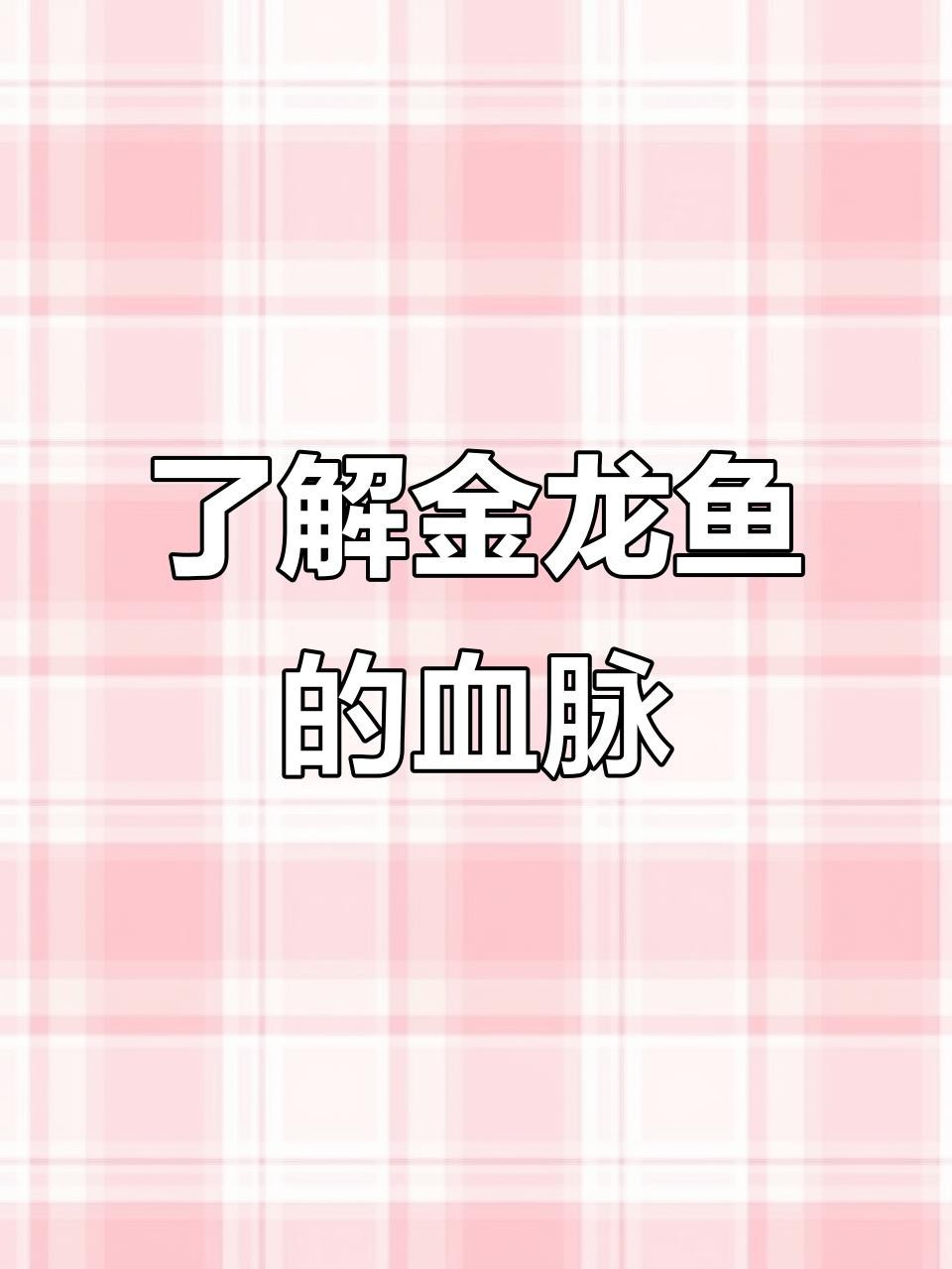 如何區分金龍魚的不同品種？【金龍魚的品種與價格區別】