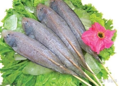 龍利魚去皮教程【精靈谷中繪彩虹編輯龍利魚去皮小技巧精靈谷中繪彩虹編輯】