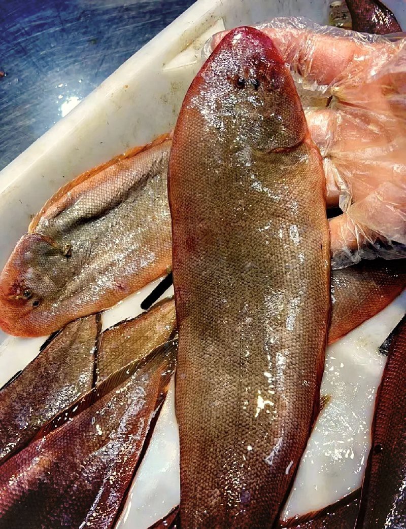 龍利魚去皮教程【精靈谷中繪彩虹編輯龍利魚去皮小技巧精靈谷中繪彩虹編輯】