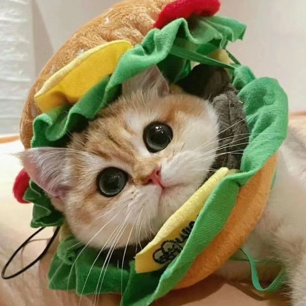 貴州三都水族姑娘圖片【《貴州三都水族姑娘：靈動與質樸的交織》】