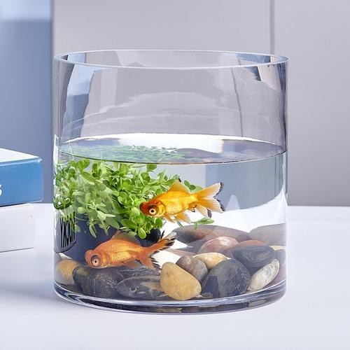 金魚缸圖片大全【《金魚缸圖片大全》*《金魚缸圖片大全》】