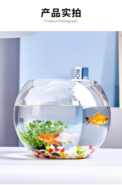 金魚缸圖片大全【《金魚缸圖片大全》*《金魚缸圖片大全》】