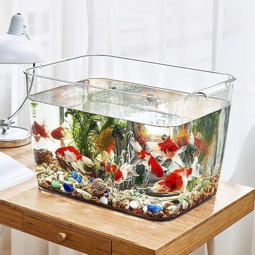 金魚缸圖片大全【《金魚缸圖片大全》*《金魚缸圖片大全》】