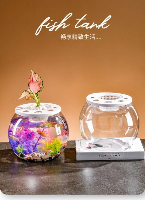 金魚缸圖片大全【《金魚缸圖片大全》*《金魚缸圖片大全》】