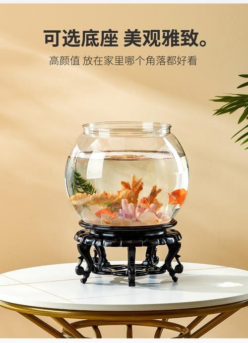 金魚缸圖片大全【《金魚缸圖片大全》*《金魚缸圖片大全》】